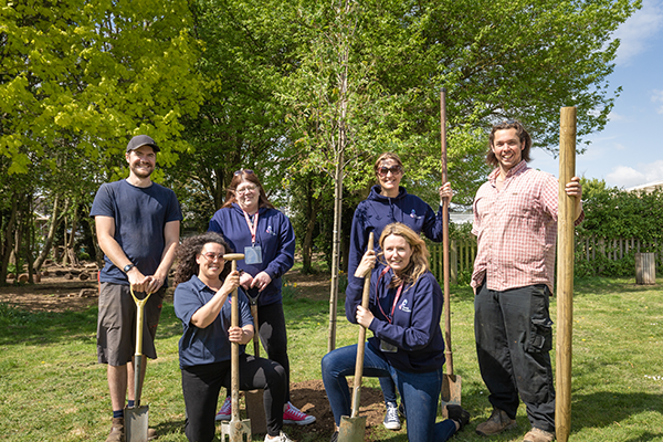 Focus Group employees planting trees